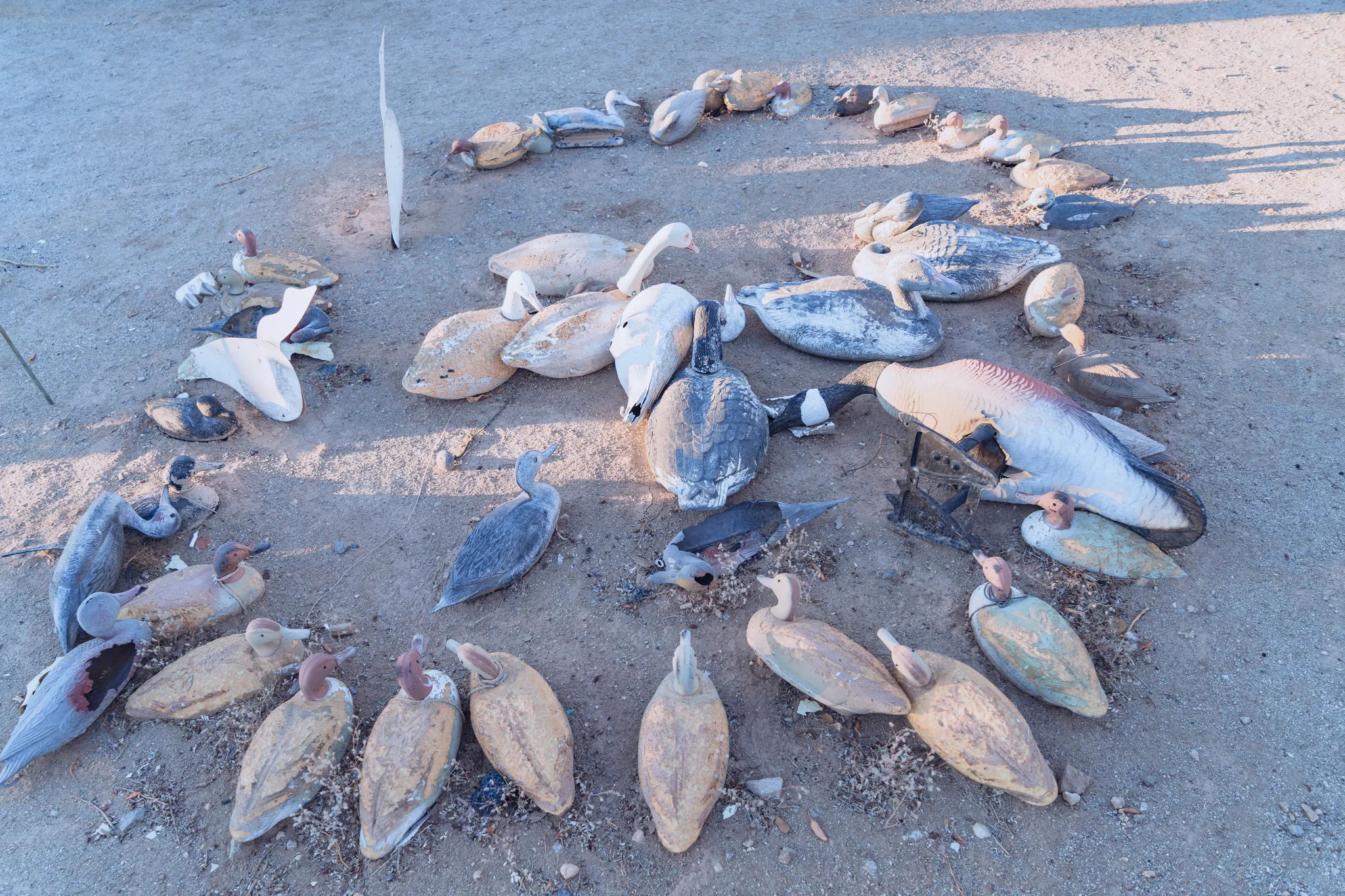 somewhere in the usa